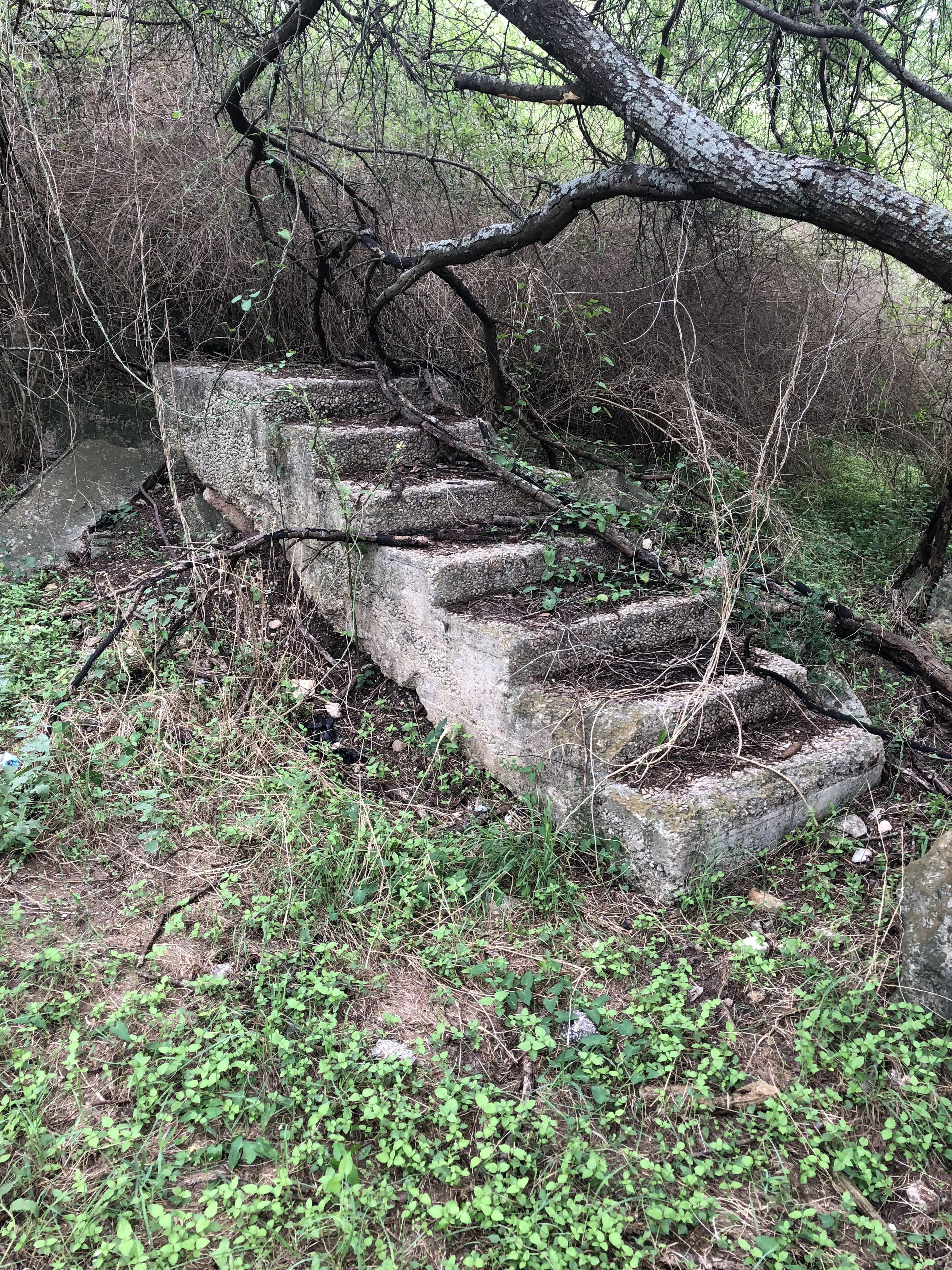 Best ideas about Staircase In Woods
. Save or Pin I found a staircase in the woods mildlyinteresting Now.