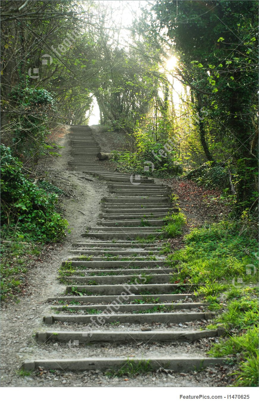 Best ideas about Staircase In Woods
. Save or Pin Stairs In The Woods Stock Image I at FeaturePics Now.