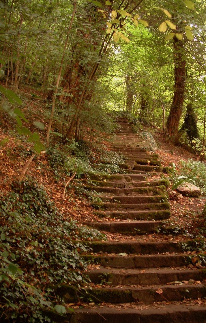 Best ideas about Staircase In Woods
. Save or Pin stairs in the woods by Shotgun Suzie on DeviantArt Now.