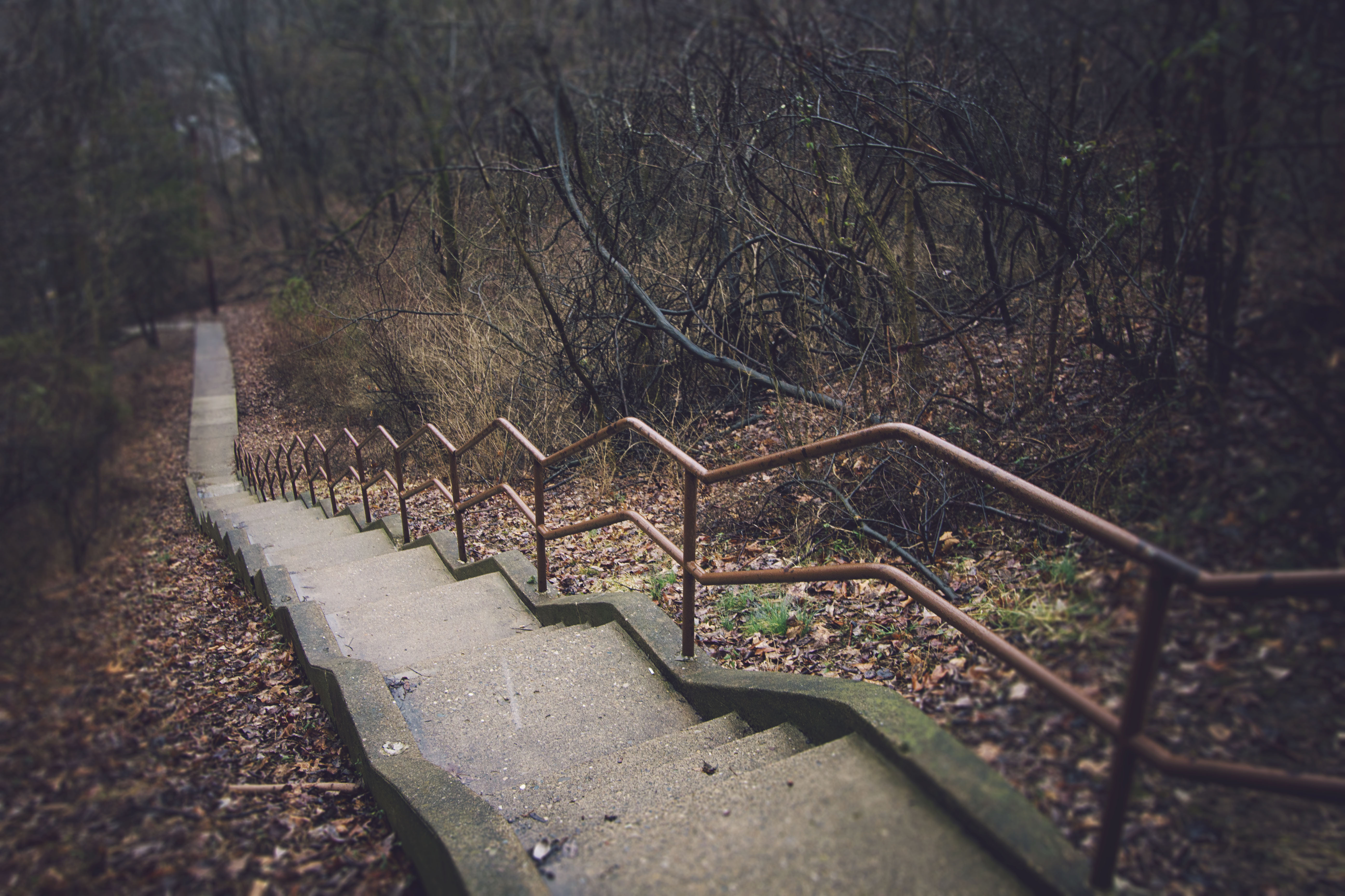 Best ideas about Staircase In Woods
. Save or Pin File Stairs in woods Wikimedia mons Now.