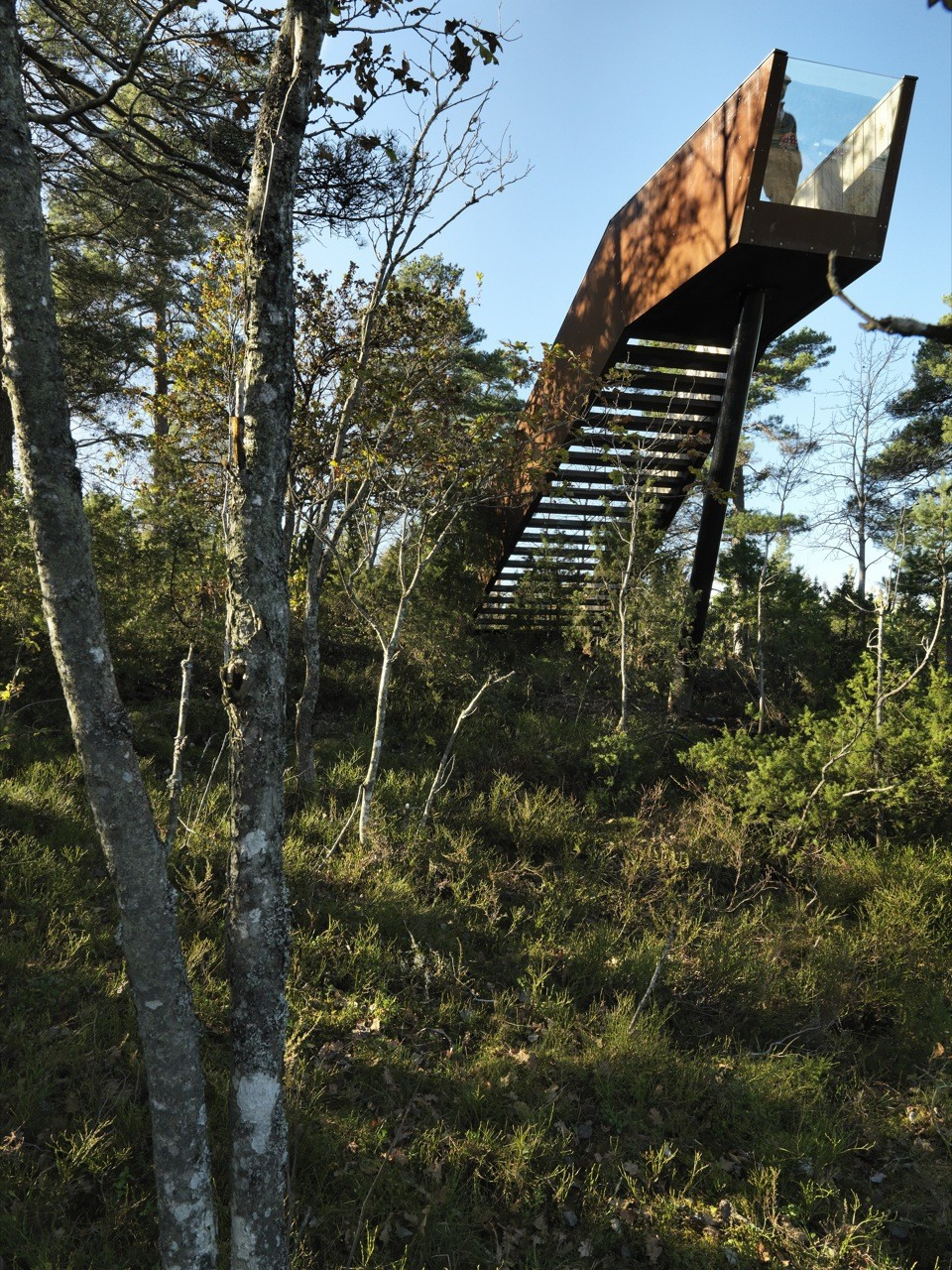 Best ideas about Staircase In Woods
. Save or Pin Forest Stair in Stokke Saunders Architecture Now.