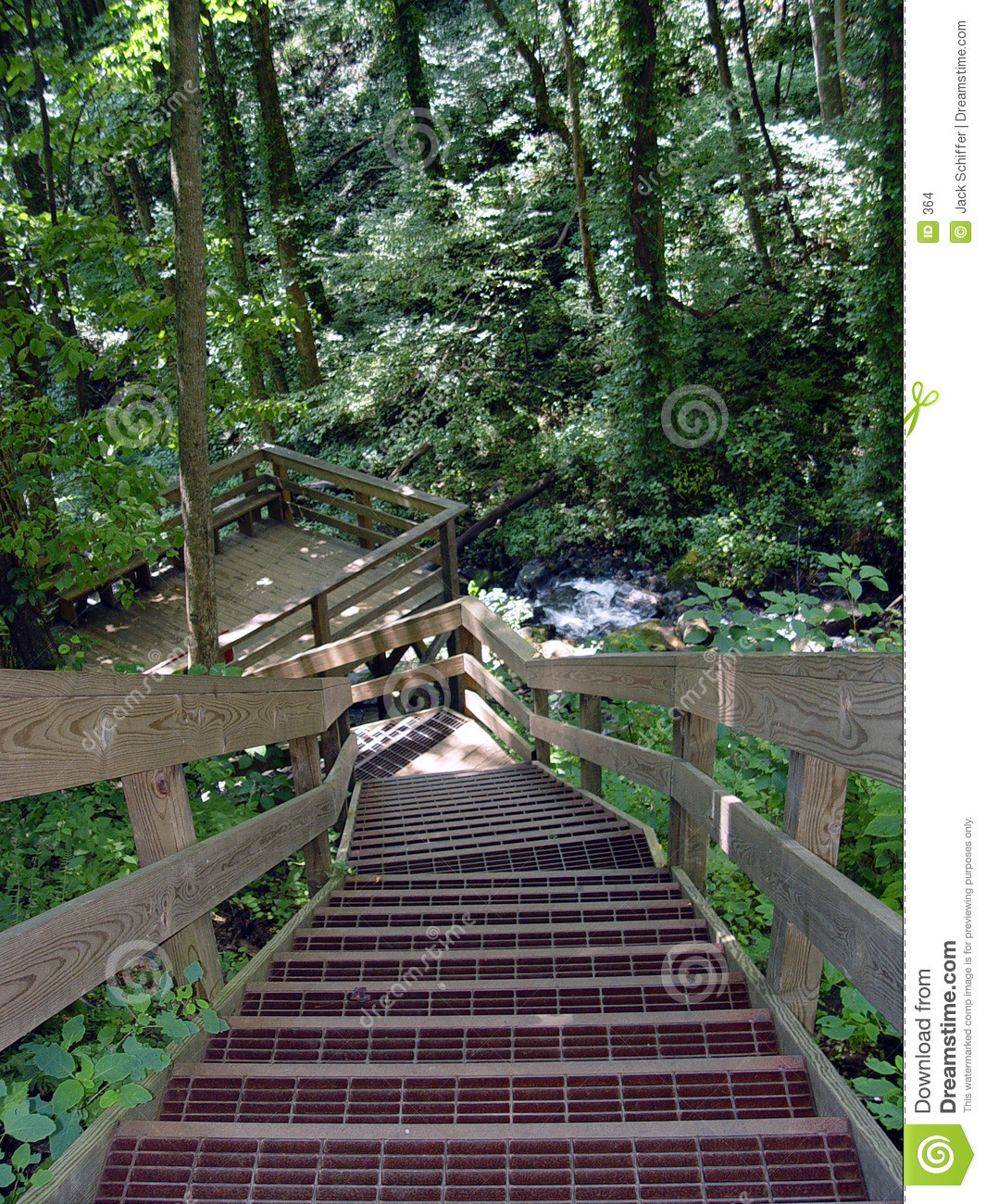 Best ideas about Staircase In Woods
. Save or Pin Stairs in the woods stock photo Image of wood trees Now.