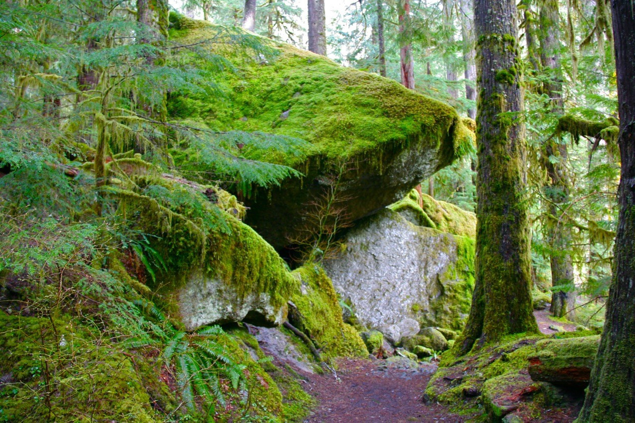 Best ideas about Staircase Olympic National Park
. Save or Pin The Seven Highlights of Hiking Olympic’s Staircase Loop Now.