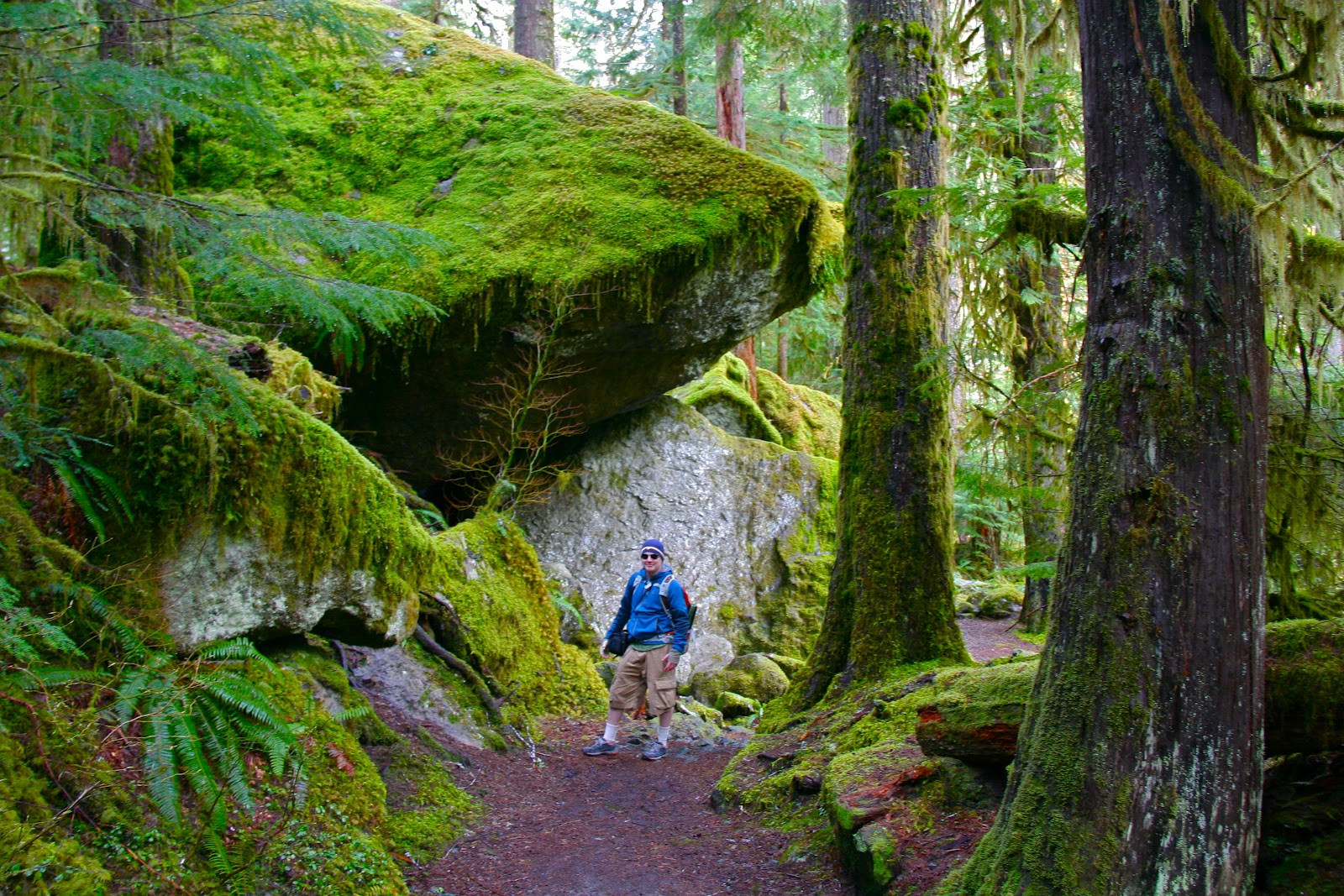Best ideas about Staircase Olympic National Park
. Save or Pin Olympic Peninsula Hikes Guides and Updates Staircase Now.