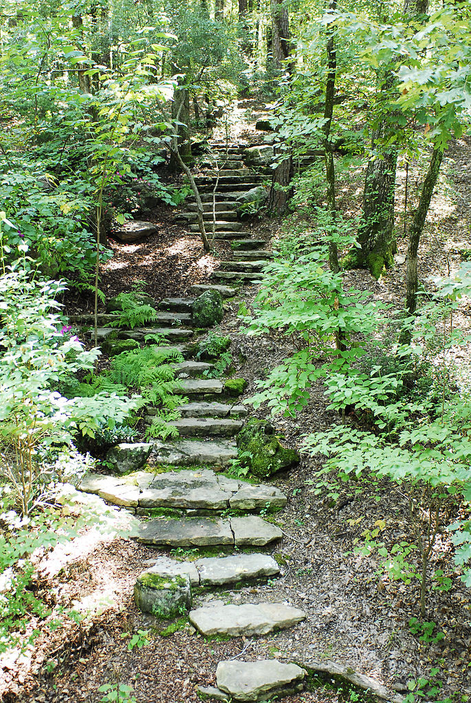 Best ideas about Stone Staircase Ark
. Save or Pin File Stone steps in the woods JPG Wikimedia mons Now.