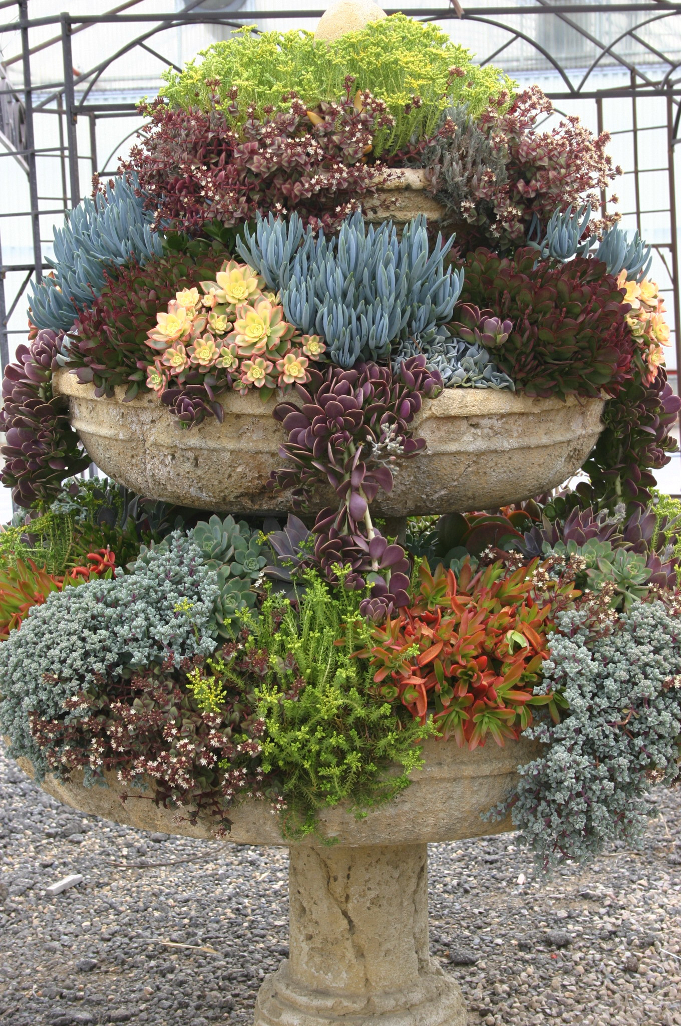 Best ideas about Succulent Garden Ideas
. Save or Pin Sufferin Succulents Now.