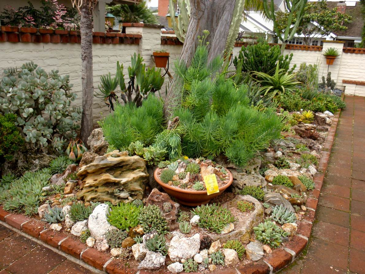 Best ideas about Succulent Garden Ideas
. Save or Pin 52 Succulent Garden Designs Garden Designs Now.