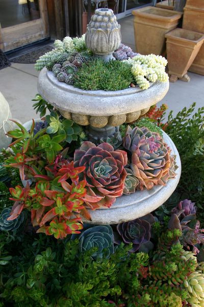 Best ideas about Succulent Garden Ideas
. Save or Pin 70 Indoor And Outdoor Succulent Garden Ideas Shelterness Now.