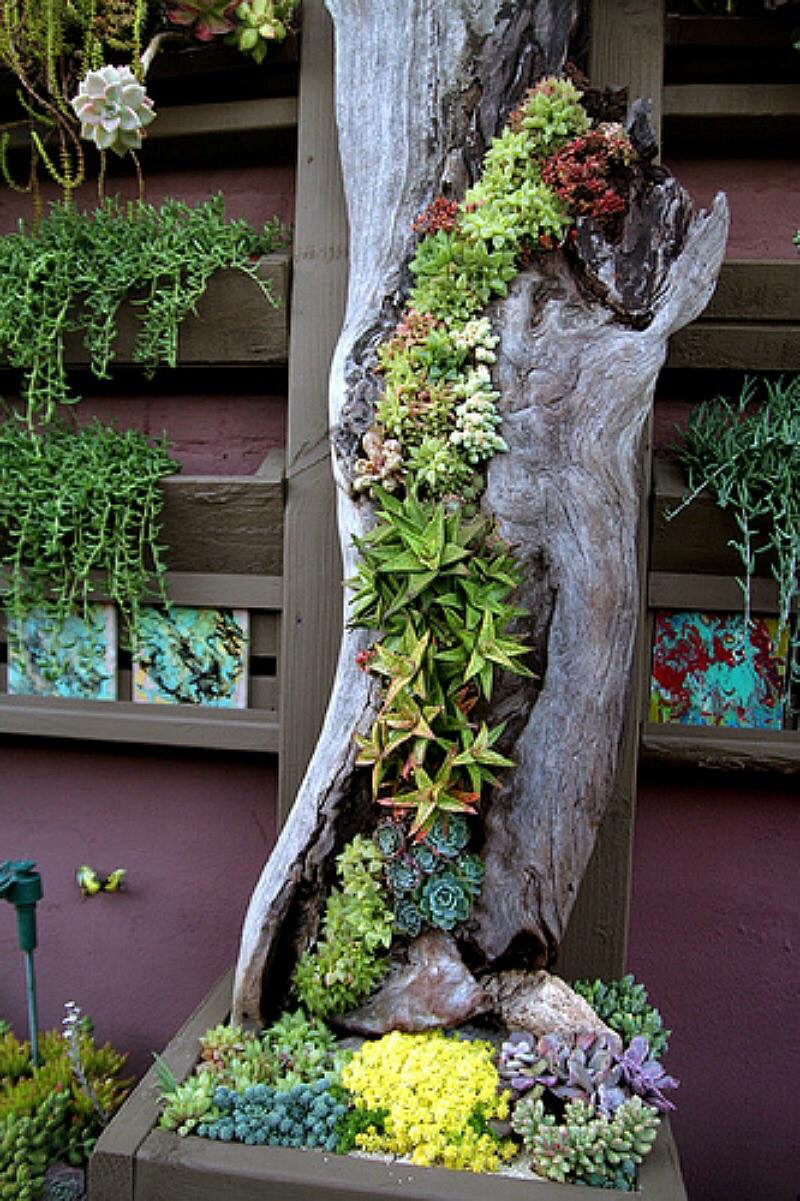 Best ideas about Succulent Garden Ideas
. Save or Pin 50 Best Succulent Garden Ideas for 2017 Now.