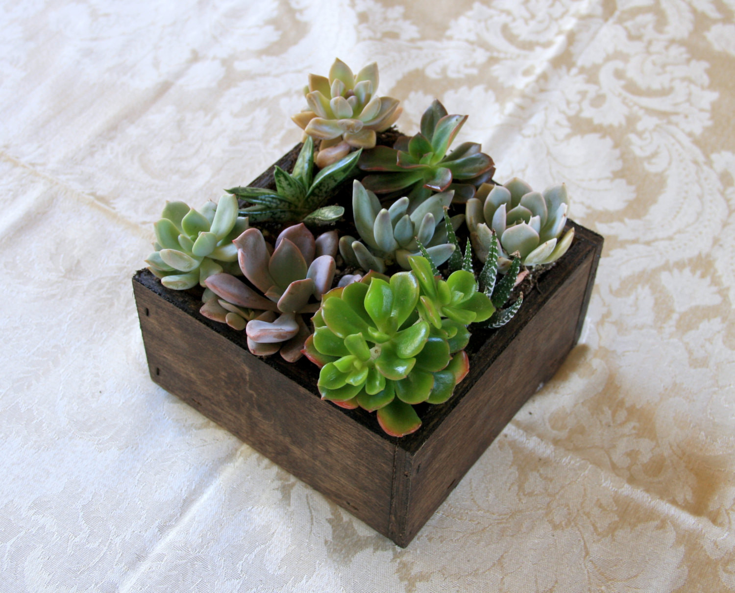 Best ideas about Succulent Planter Box
. Save or Pin Wooden Box Succulent Planter Centerpiece Now.