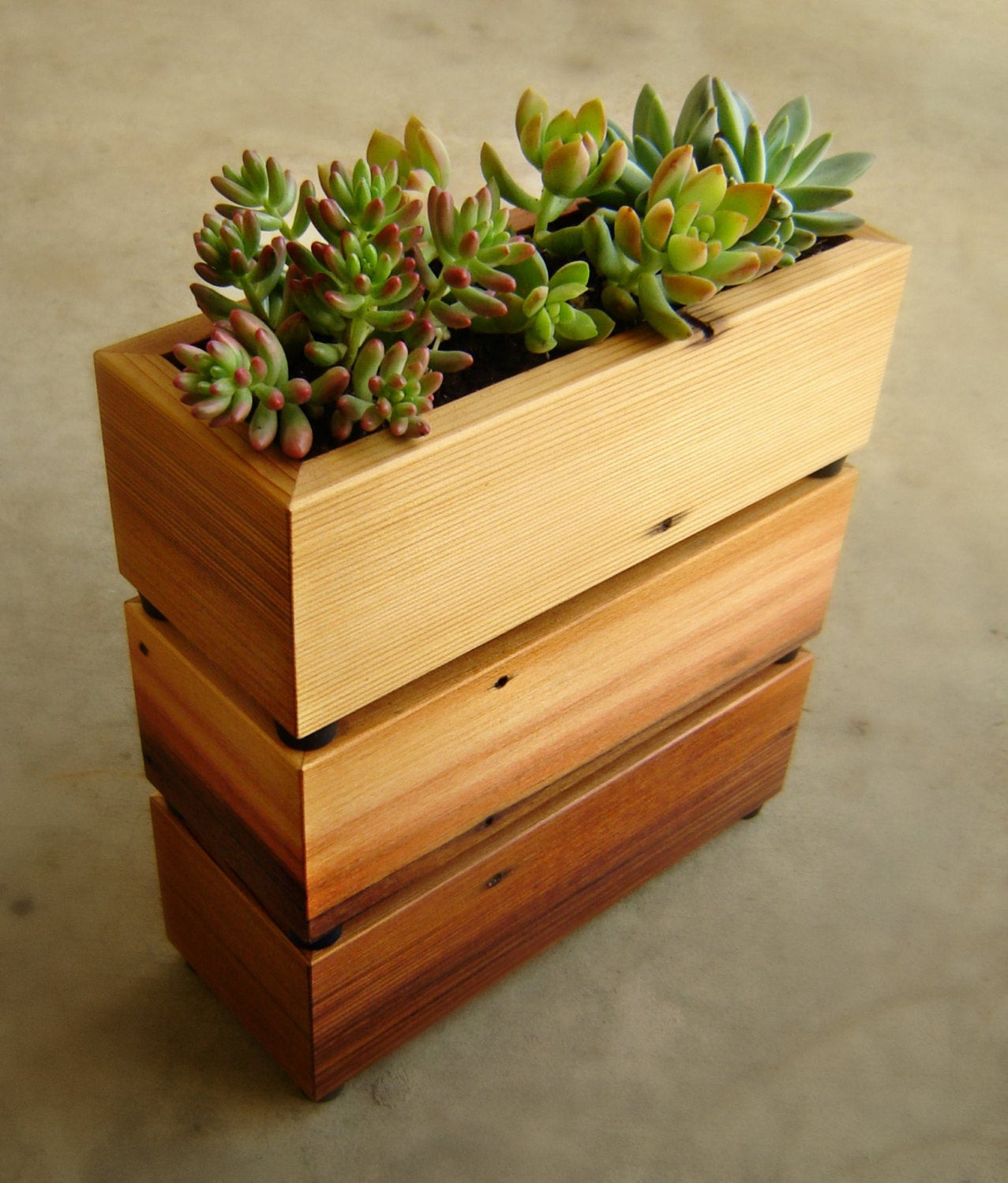 Best ideas about Succulent Planter Box
. Save or Pin Succulent Planter Box in Recycled Cedar With Gravel and Soil Now.