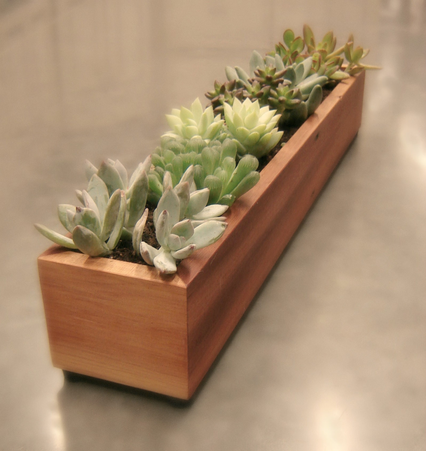 Best ideas about Succulent Planter Box
. Save or Pin 15 Natural and Handmade Living Succulent Decorations Now.