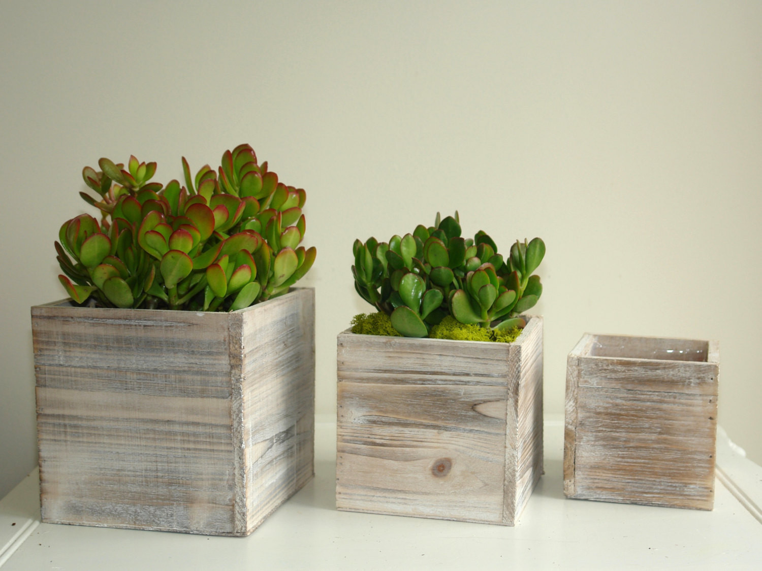 Best ideas about Succulent Planter Box
. Save or Pin wood box succulent planter pot vases wooden boxes rustic Now.