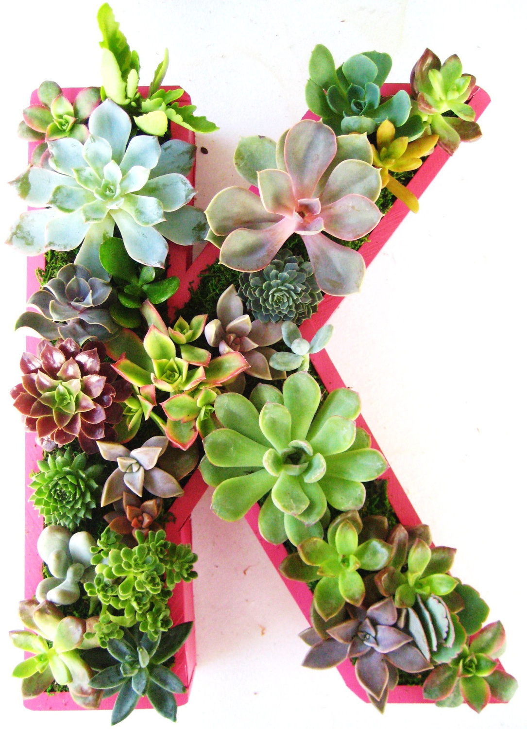 Best ideas about Succulent Planter Box
. Save or Pin 15 Natural and Handmade Living Succulent Decorations Now.