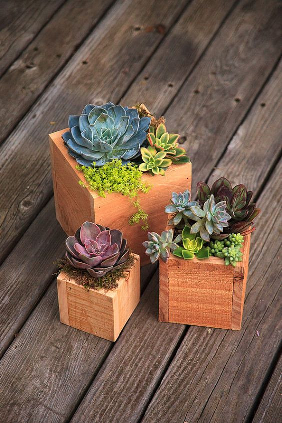 Best ideas about Succulent Planter Box
. Save or Pin Planters Handmade and Succulent planters on Pinterest Now.