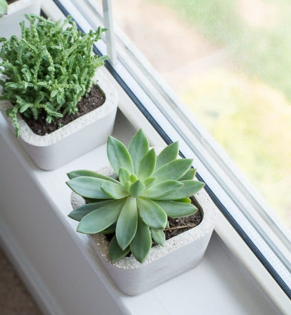 Best ideas about Succulent Planter Ideas
. Save or Pin 24 DIY Succulent Planter Ideas for Your Home or Patio Now.