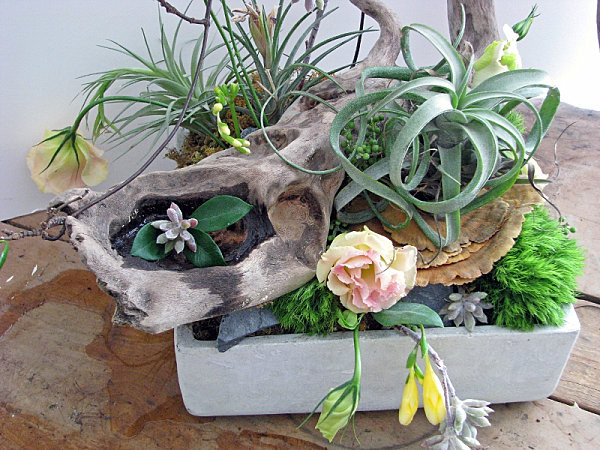Best ideas about Succulent Planter Ideas
. Save or Pin Creative Succulent Planter Ideas Now.