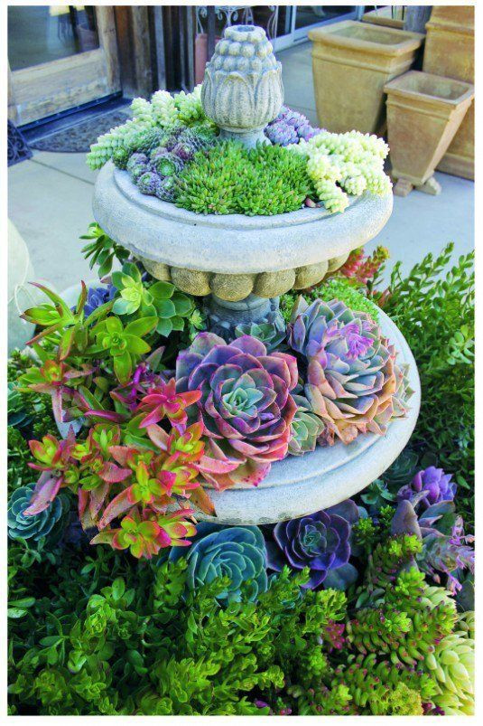 Best ideas about Succulent Planter Ideas
. Save or Pin 24 Cheap Planter Ideas for Amazing Succulent Garden Now.