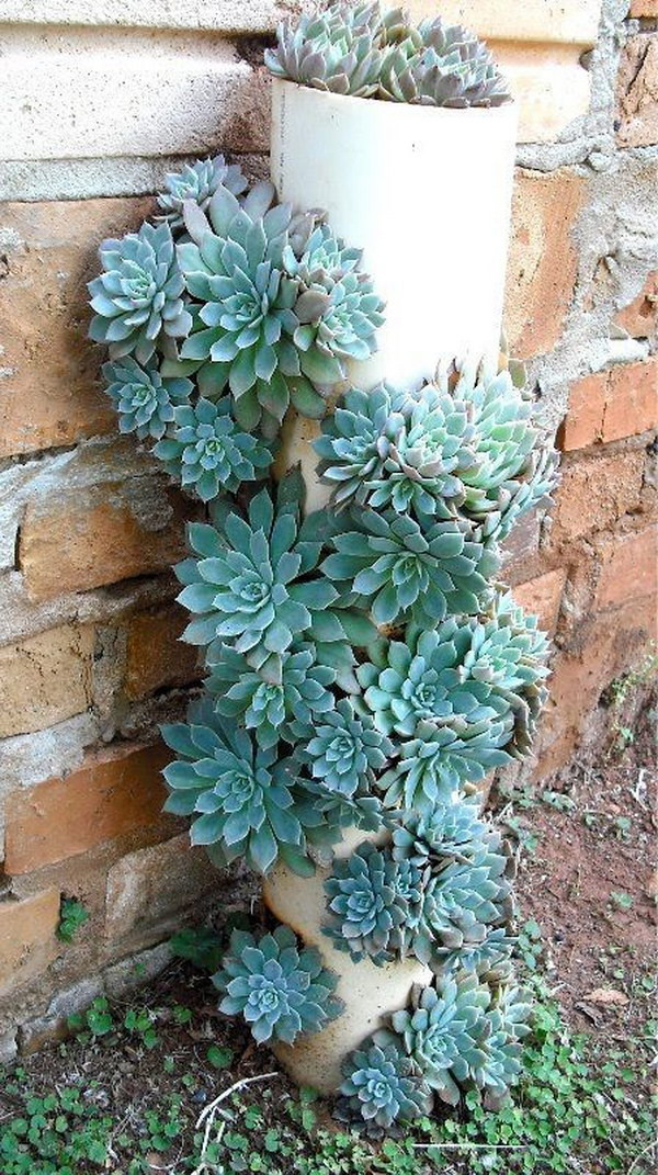 Best ideas about Succulent Planter Ideas
. Save or Pin Creative Indoor And Outdoor Succulent Garden Ideas 2017 Now.