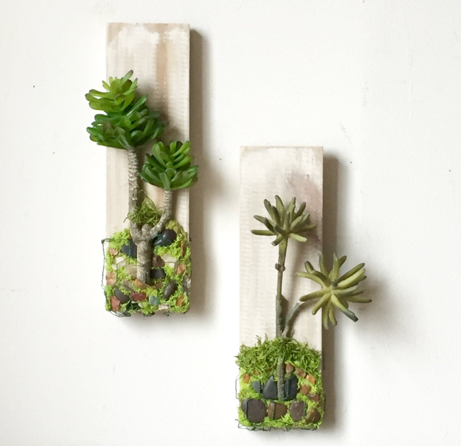Best ideas about Succulent Wall Art
. Save or Pin Moss Wall Art Artificial Succulent Cottage Chic by Now.