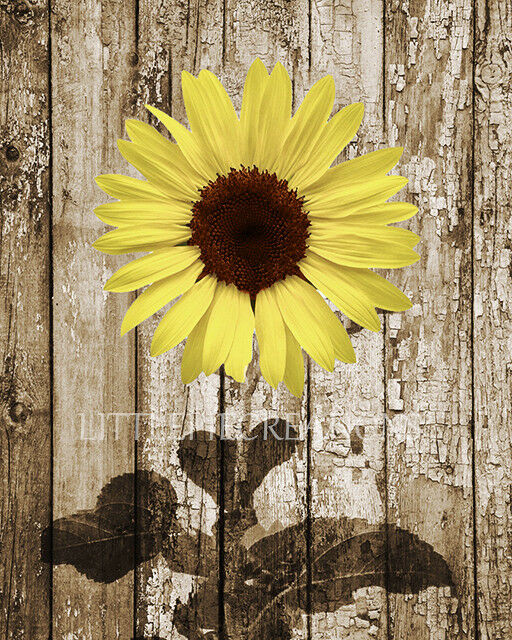 Best ideas about Sunflower Wall Art
. Save or Pin Sunflower Wall Decor Rustic Country Farmhouse Yellow Now.