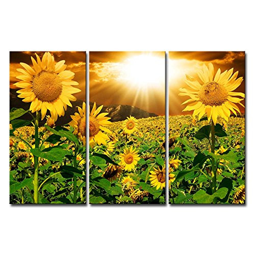 Best ideas about Sunflower Wall Art
. Save or Pin Framed Sunflower Bright Sunshine Nature Picture Art Canvas Now.