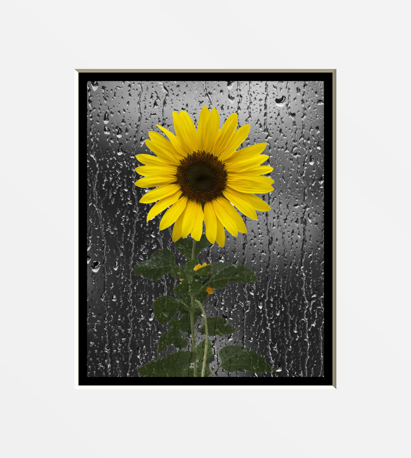 Best ideas about Sunflower Wall Art
. Save or Pin Sunflower Wall Art Decorative Bathroom Decor Yellow Wall Now.