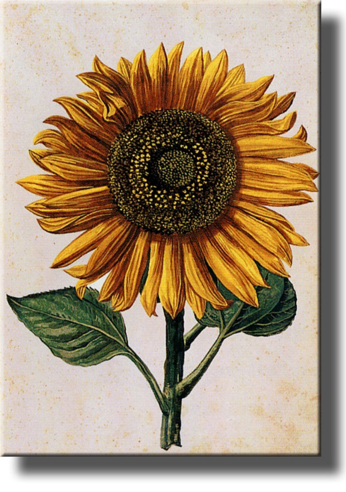 Best ideas about Sunflower Wall Art
. Save or Pin A Picture of Sunflower by Froeschl Made on Wood Wall Art Now.