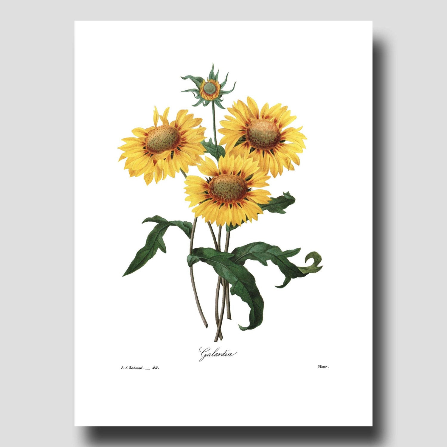 Best ideas about Sunflower Wall Art
. Save or Pin Sunflower Art Print Farmhouse Wall Decor by Now.