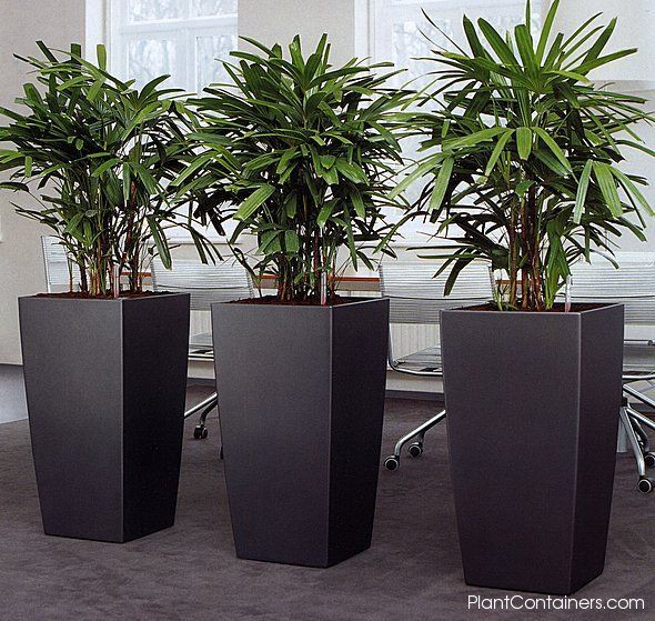 Best ideas about Tall Indoor Planters
. Save or Pin Best 25 Tall outdoor planters ideas on Pinterest Now.