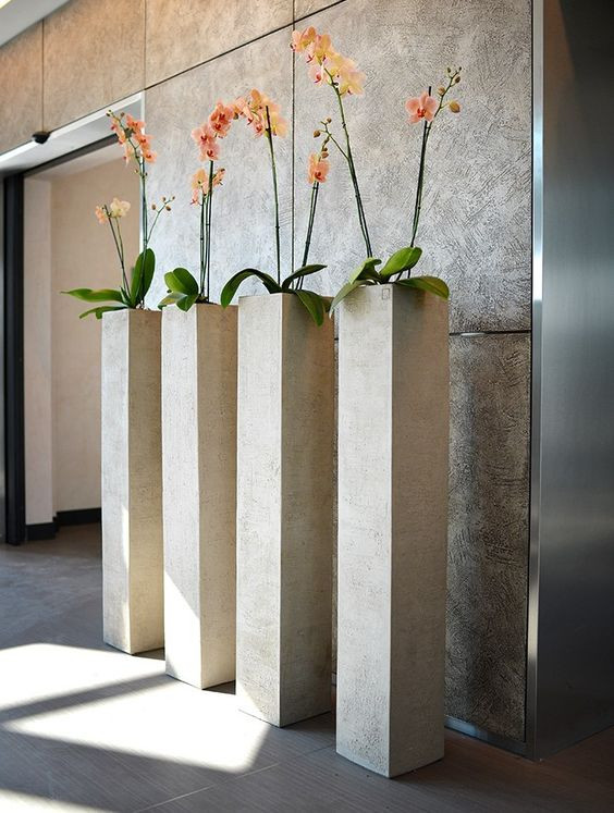 Best ideas about Tall Indoor Planters
. Save or Pin Orchids in tall narrow planters Now.