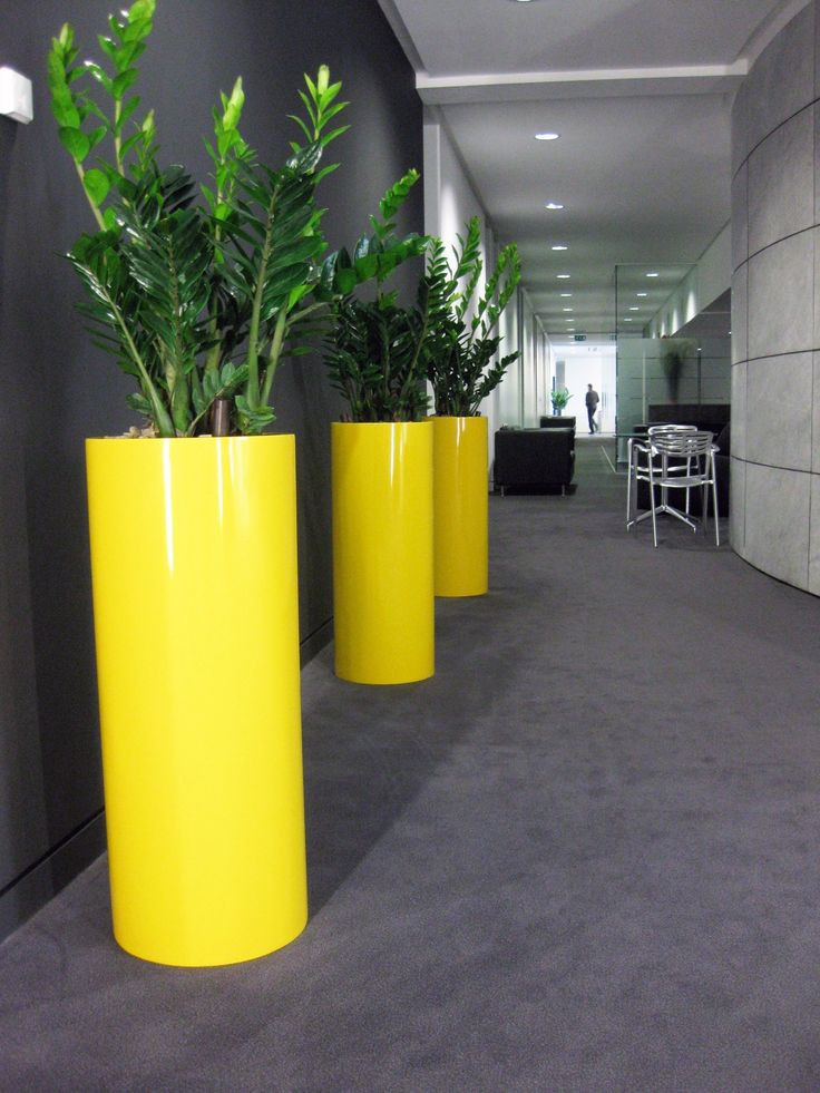 Best ideas about Tall Indoor Planters
. Save or Pin 66 best Plants images on Pinterest Now.