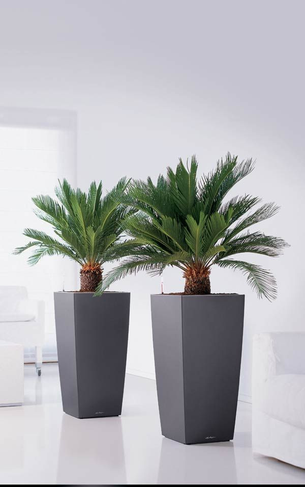 Best ideas about Tall Indoor Planters
. Save or Pin Best 25 Tall planters ideas on Pinterest Now.