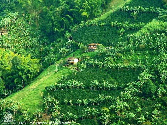 Best ideas about The Cultural Landscape
. Save or Pin The Coffee Cultural Landscape of Colombia Now.