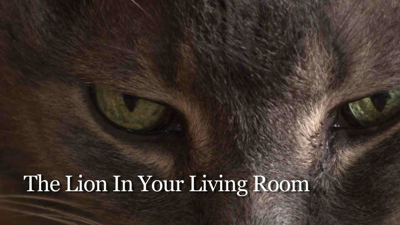 Best ideas about The Lion In Your Living Room
. Save or Pin The Lion In Your Living Room Teaser Now.