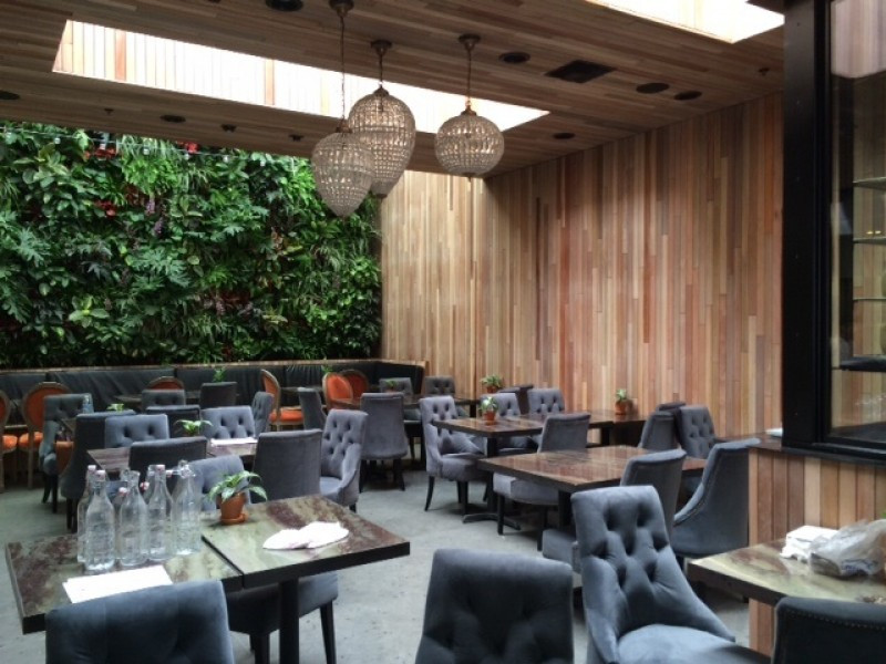 Best ideas about The Patio On Goldfinch
. Save or Pin The Patio on Goldfinch Now.