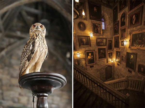 Best ideas about The Staircase Owl
. Save or Pin Mischief Managed The Wizarding World of Harry Potter Now.