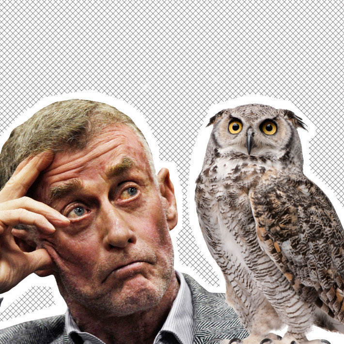 Best ideas about The Staircase Owl
. Save or Pin The Staircase Michael Peterson Murder Theories Explained Now.