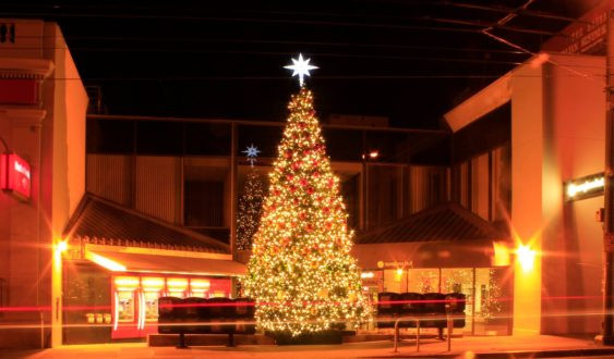 Best ideas about Tree Lighting 2019
. Save or Pin 2019 Castro Tree Lighting Celebration Now.