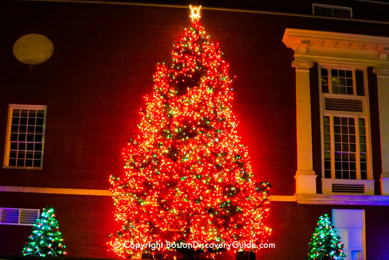 Best ideas about Tree Lighting 2019
. Save or Pin Boston Christmas Tree Lighting Events Schedule 2019 Now.