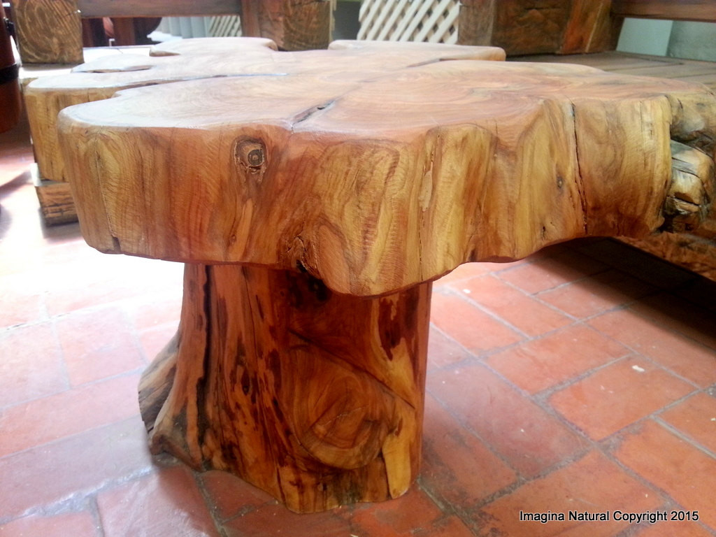 Best ideas about Tree Stump Coffee Table
. Save or Pin Naturally Unique Cypress Tree Trunk Handmade Coffee Table Now.