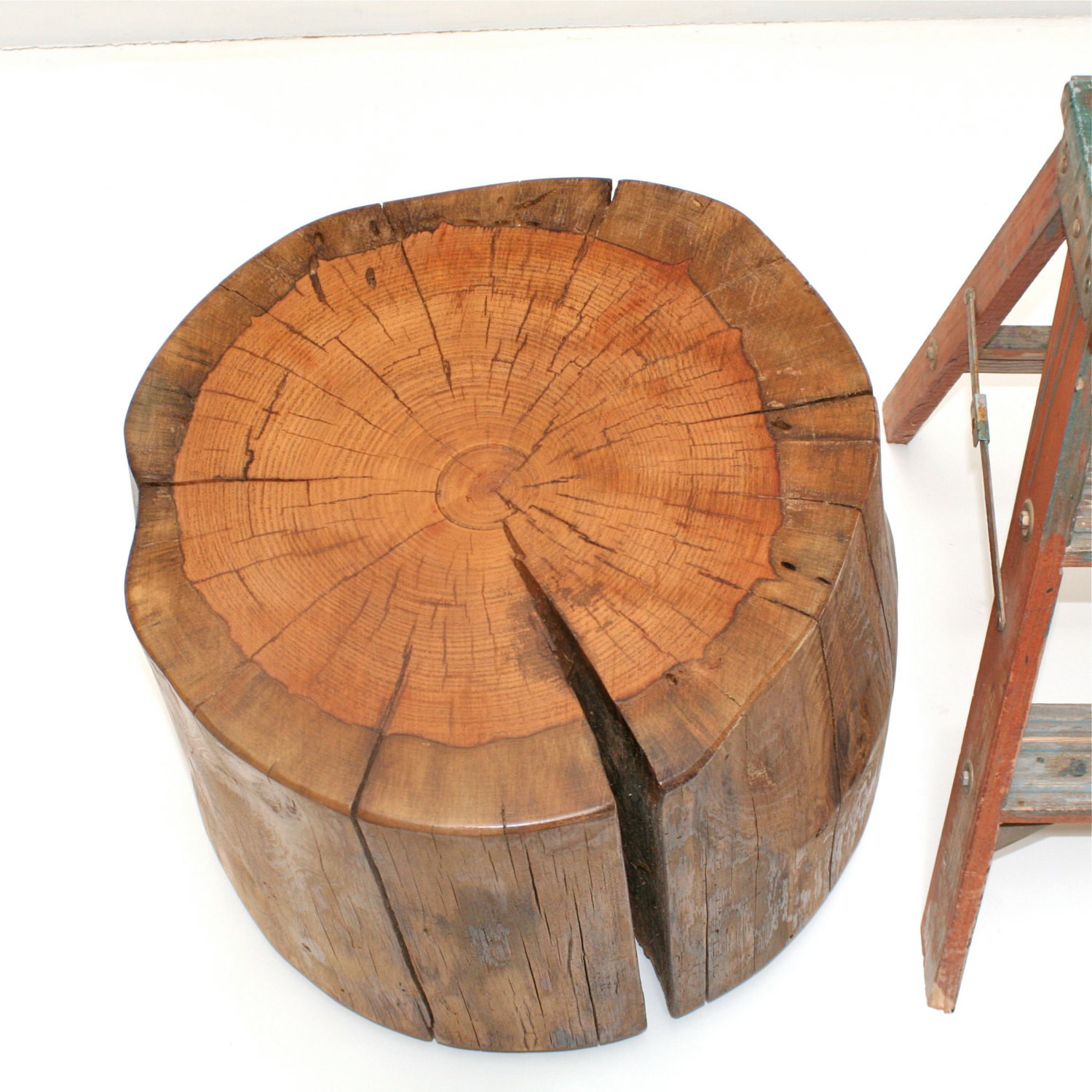 Best ideas about Tree Stump Coffee Table
. Save or Pin Wood Tree Stump Coffee Table on Casters by Now.