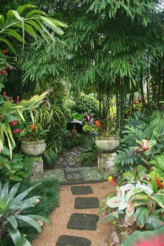 Best ideas about Tropical Garden Ideas
. Save or Pin Idea for Tropical Backyard Garden Style Now.