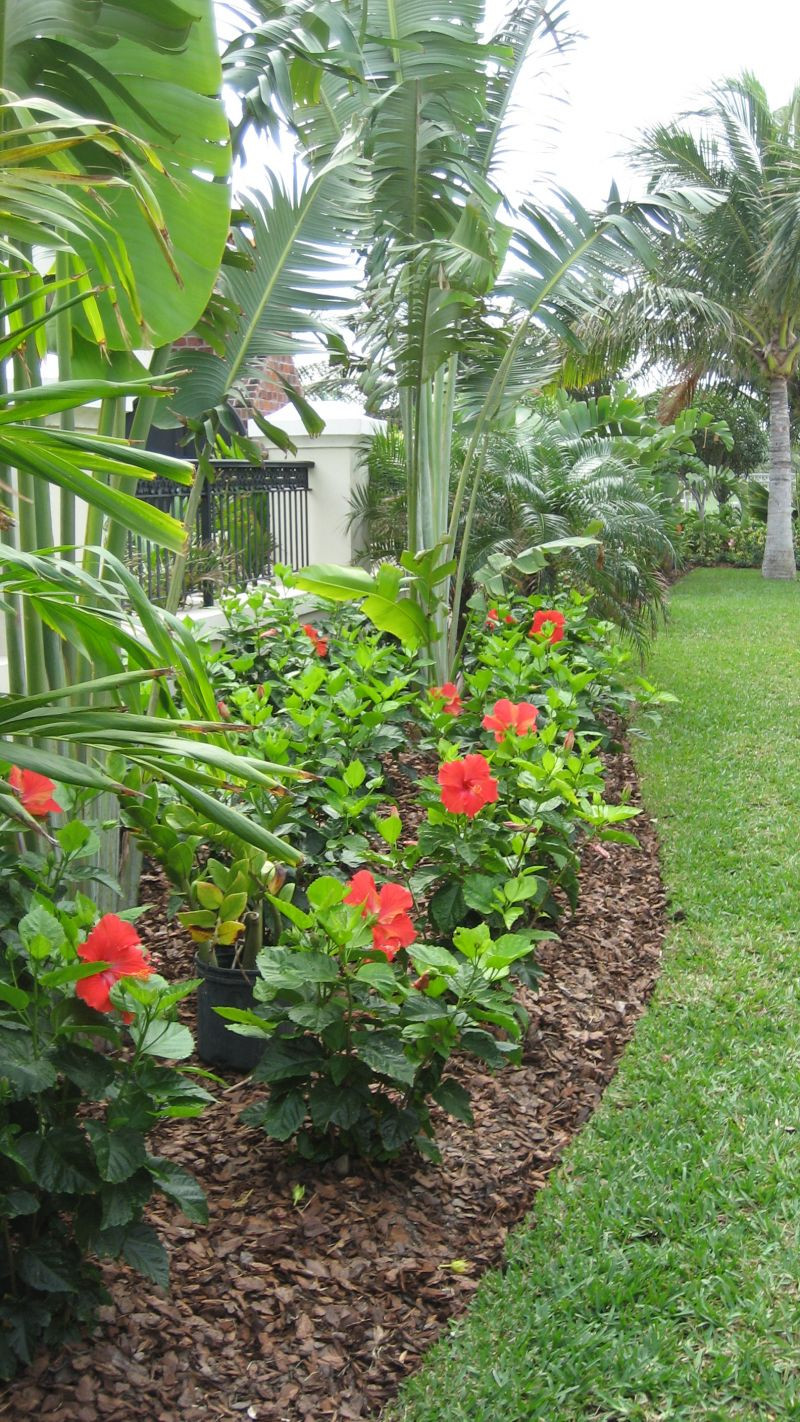 Best ideas about Tropical Garden Ideas
. Save or Pin Tropical Outdoor Garden Ideas Full Sun Now.