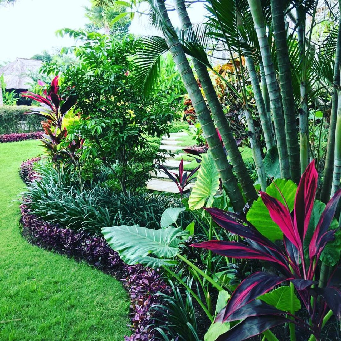 Best ideas about Tropical Garden Ideas
. Save or Pin Beautiful and Refreshing Tropical Garden Landscapes 40 Now.