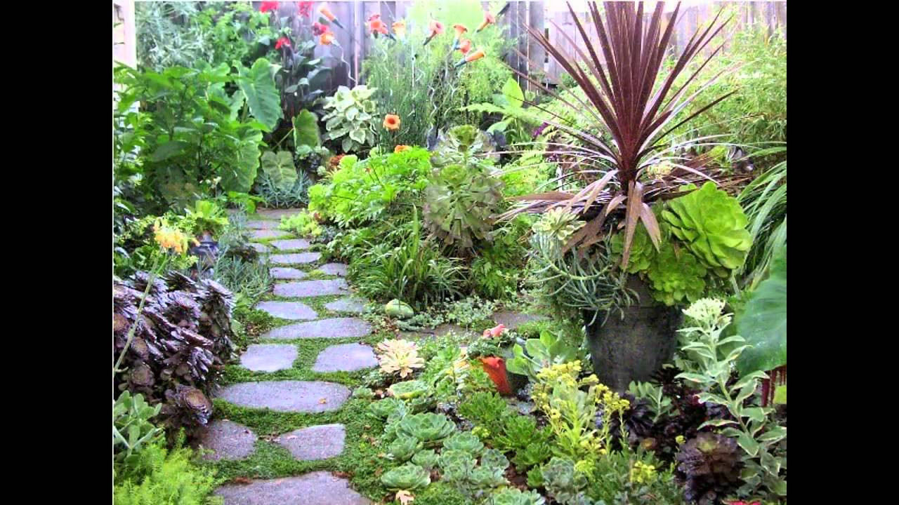 Best ideas about Tropical Garden Ideas
. Save or Pin Creative Tropical garden design design Now.