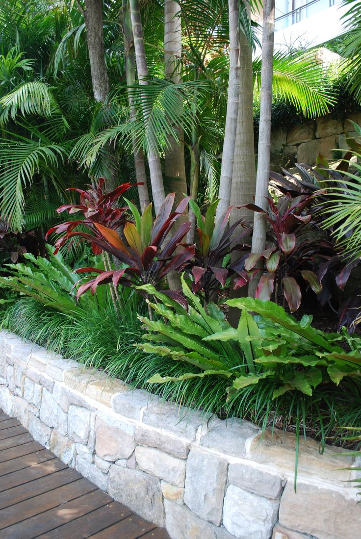 Best ideas about Tropical Garden Ideas
. Save or Pin 25 Best Ideas about Tropical Pool Landscaping on Now.