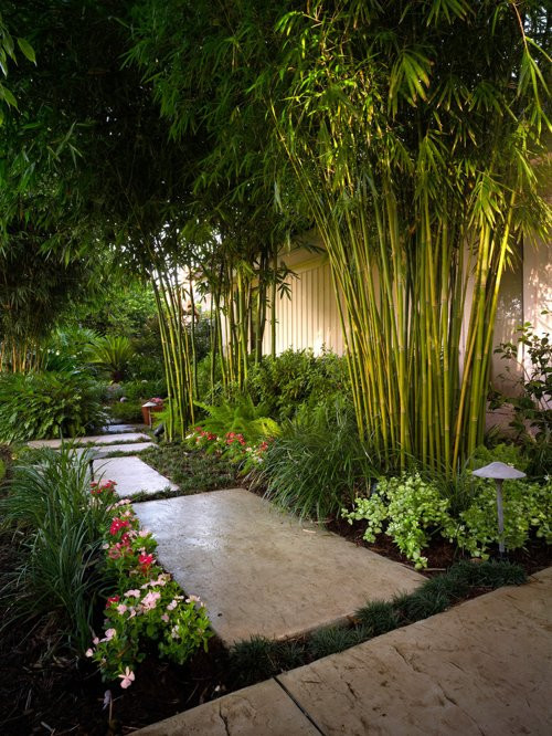 Best ideas about Tropical Garden Ideas
. Save or Pin Tropical Landscape Ideas Designs Remodels & s Now.
