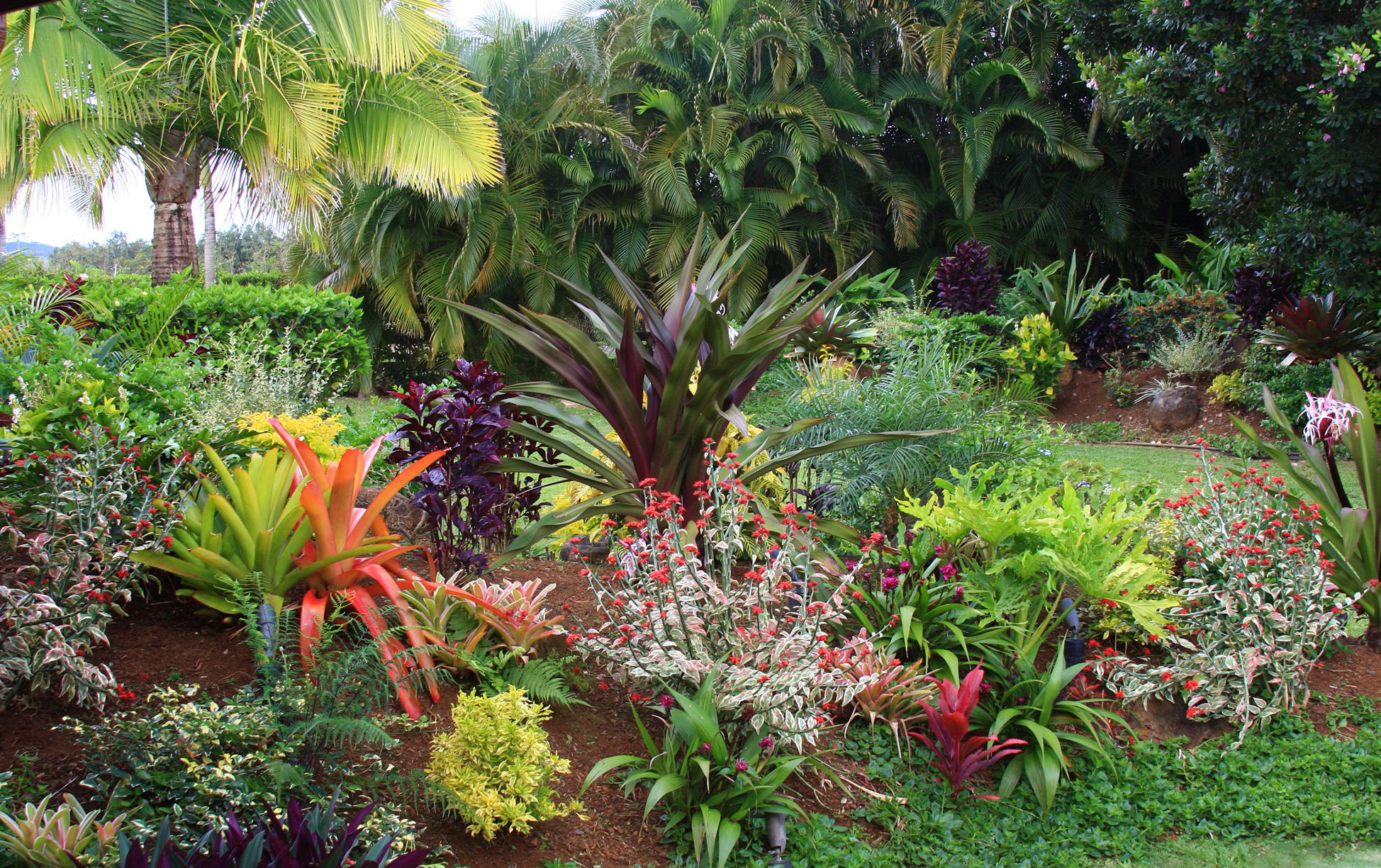 Best ideas about Tropical Garden Ideas
. Save or Pin Tropical Flower Garden Design Ideas Now.