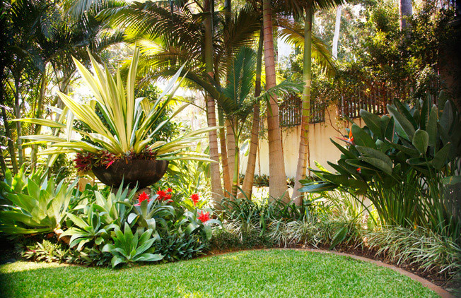 Best ideas about Tropical Garden Ideas
. Save or Pin Tropical landscape design ideas Gardening flowers 101 Now.